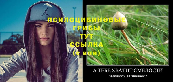 ALPHA PVP Беломорск
