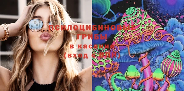гашик Белоозёрский