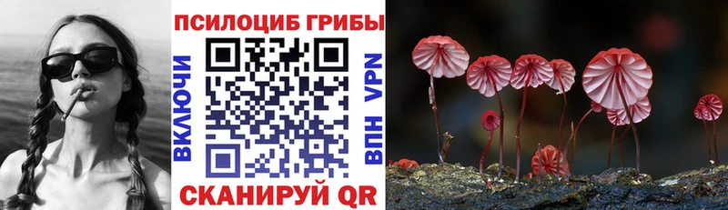 Галлюциногенные грибы ЛСД  Макушино 
